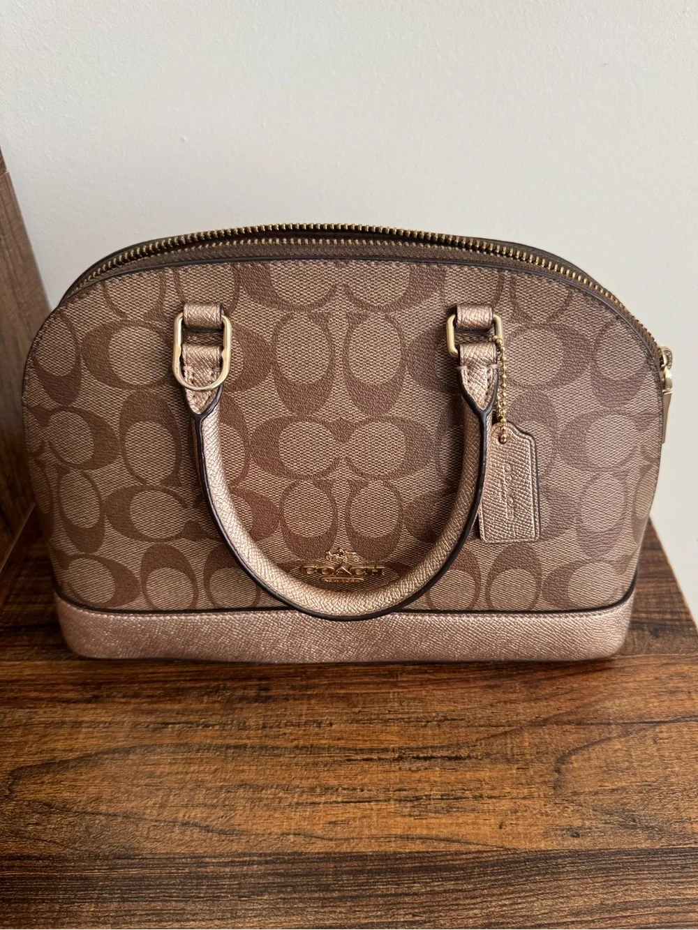 Brown Coach Purse and Wristlet